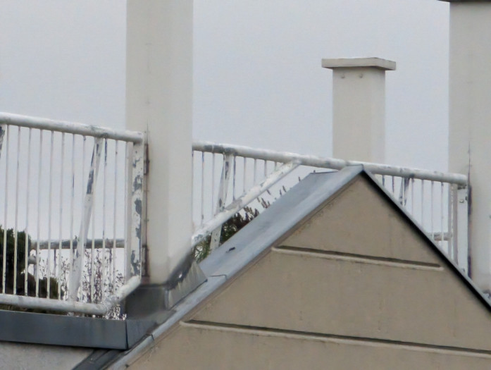 Der 30-fache Digitalzoom hingegen ist bei voller Vergrößerung qualitativ etwas besser ...